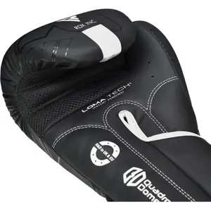 Boxing gloves RDX F6 image-3