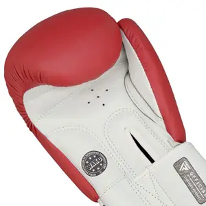 Boxing gloves RDX T1Wako image-4