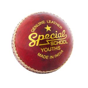 ctb108y-cricketball-kind-readers-special-school-rot-tu