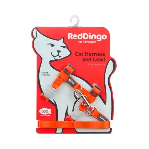 Kattentuigje en riem Red Dingo image-0
