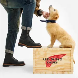 Bottines Red Wing Shoes 4501 Logger image-5