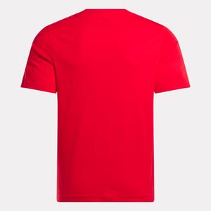 product/r/e/reebok-t-shirt-large-logo-superpos-reebok-identity_25353387_01.jpeg
