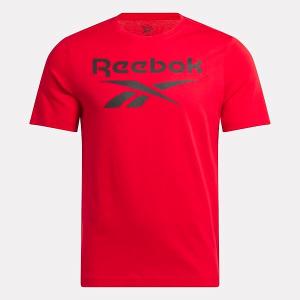 product/r/e/reebok-t-shirt-large-logo-superpos-reebok-identity_25353387_02.jpeg