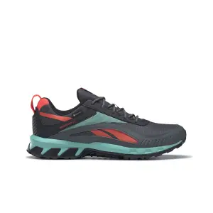 Walking shoes Reebok Ridgerider 6 Gore-Tex image-0
