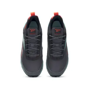 Walking shoes Reebok Ridgerider 6 Gore-Tex image-3