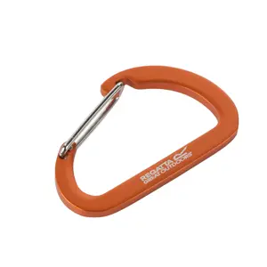 Carabiner Regatta Small