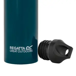 Borraccia in acciaio inox Regatta 1L image-3