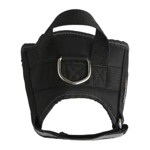 Reflective dog harness Regatta image-1