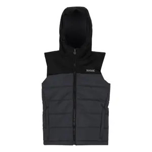 Sleeveless down jacket Regatta Lofthouse image-0