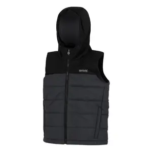 Sleeveless down jacket Regatta Lofthouse image-1
