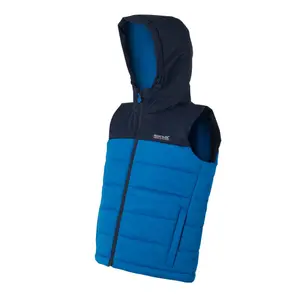 Sleeveless down jacket Regatta Lofthouse image-1