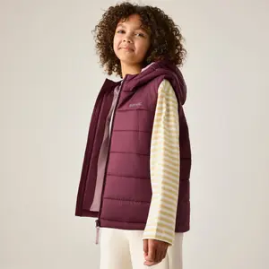Children's Gilet Regatta Lofthouse image-2