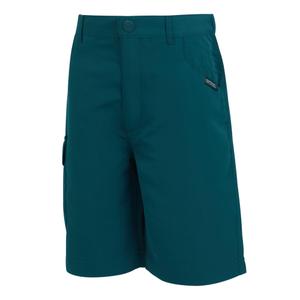 Cargo Shorts Kind Regatta Sorcer II image-2