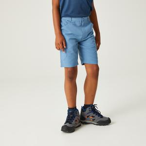 Cargo Shorts Kind Regatta Sorcer II image-2