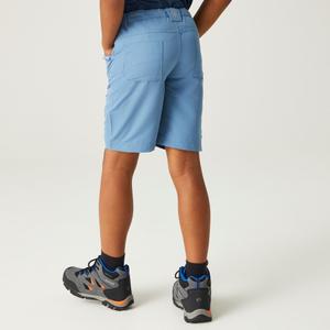 Cargo Shorts Kind Regatta Sorcer II image-4