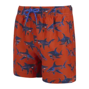 Badehose für Kinder Regatta Skander image-2