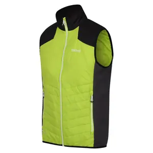 Sleeveless down jacket Regatta Halton VI image-2