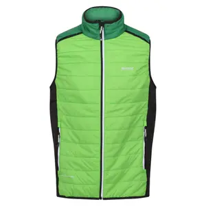 Sleeveless down jacket Regatta Halton VII image-0