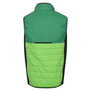 Sleeveless down jacket Regatta Halton VII image-1