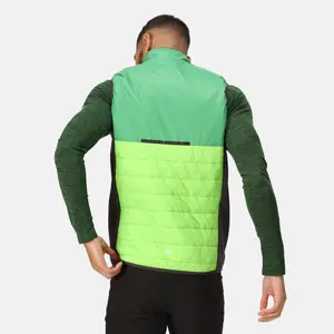 Sleeveless down jacket Regatta Halton VII image-2