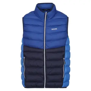 Mouwloos donsjack Regatta Harrock II image-0