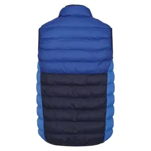 Mouwloos donsjack Regatta Harrock II image-1