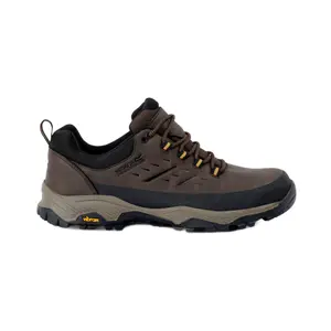 Hiking shoes Regatta Blake
