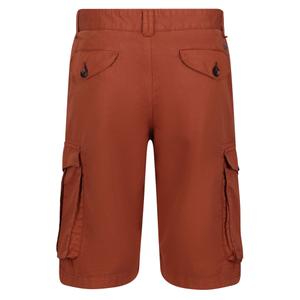 Cargo Shorts Regatta Shorebay image-1