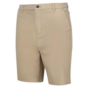 Chino Shorts Regatta Sabden image-2