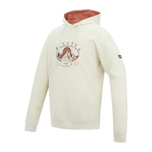 Hooded sweatshirt Regatta Cline image-2