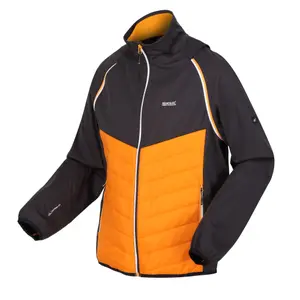 Hybrid waterproof jacket Regatta Steren image-2