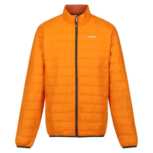 Puffed jacket Regatta Hillpack image-0