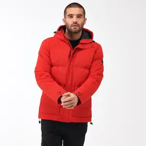 Donsjack Regatta Falkner image-1