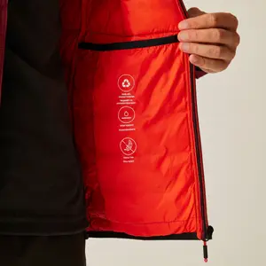 Puffer jacket Regatta Asper image-4