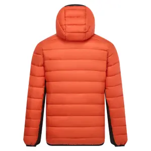 Hybrid jacket Regatta Leedre image-1
