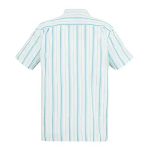 Shirt Regatta Hadlin image-1