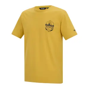 T-Shirt Regatta Cline IX image-2