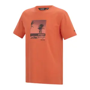T-shirt Regatta Cline IX image-2