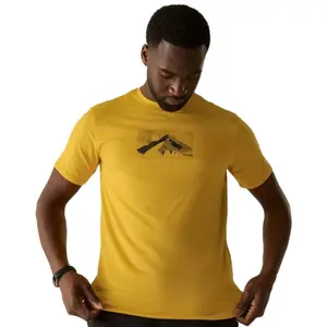 T-shirt Regatta Fingal Stretch image-0