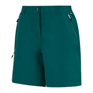 Shorts Regatta Chaska III image-2