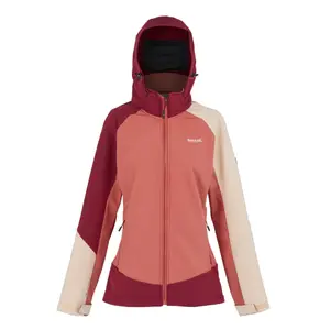 Women's softshell hooded jacket Regatta Desoto X image-0
