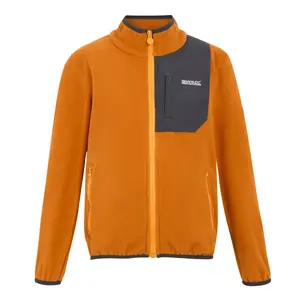 Polaire zippée enfant Regatta Frankie image-0