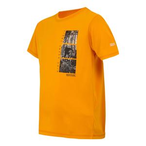 Kid's T-shirt Regatta Alvarado IX image-1