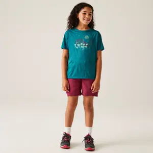 T-Shirt Regatta Alvarado IX image-3