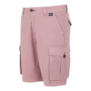 Korte Regatta Shorebay II image-2