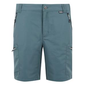 rmj319-s7g-pantalon-corto-regatta-leesville-iii-clima-tormentoso