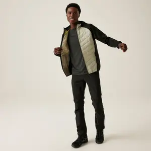 Donsjack Regatta Andreson VIII image-1