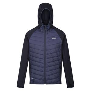 rmn228-540-plumifero-regatta-andreson-viii-marina