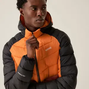 Casaco com capuz Regatta Dalent image-5