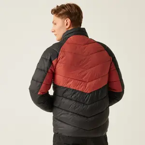 Doudoune Regatta Dalent image-5